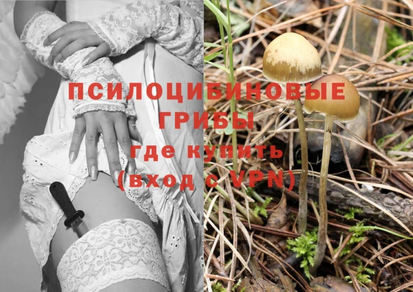 амфетамин Абинск