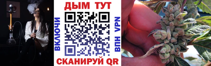 нарко площадка формула  продажа наркотиков  Починок  Шишки марихуана Amnesia  omg tor 