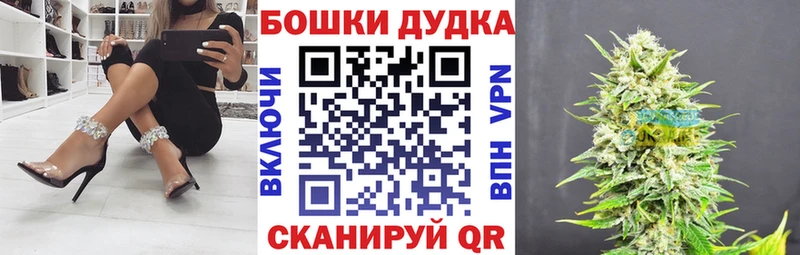 Каннабис OG Kush Починок